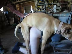 A hot guy's ass is beastially blasted by a brown dog xxx.